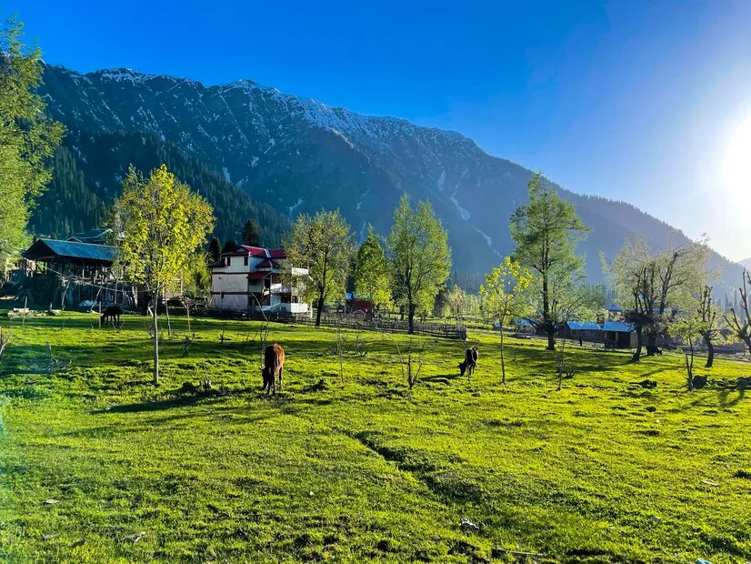 Kashmir Tour