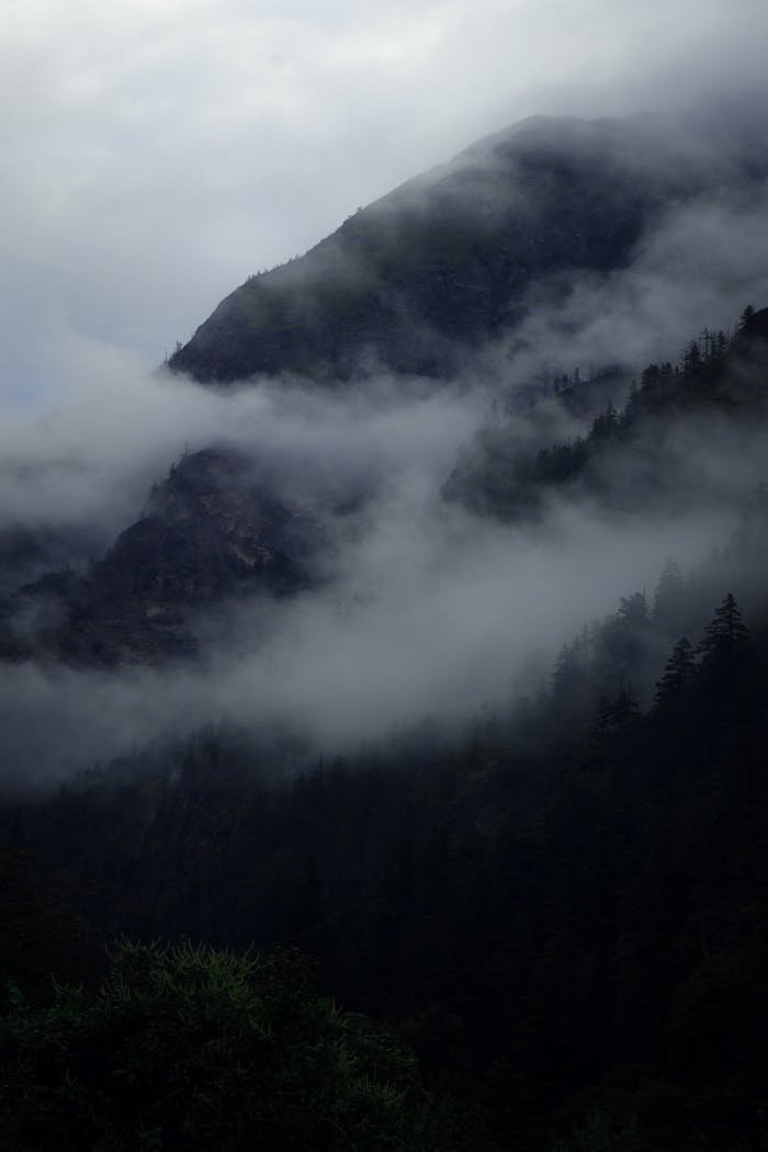 our-experience A serene view of misty mountains and forests in Nepal, capturing nature's raw beauty.