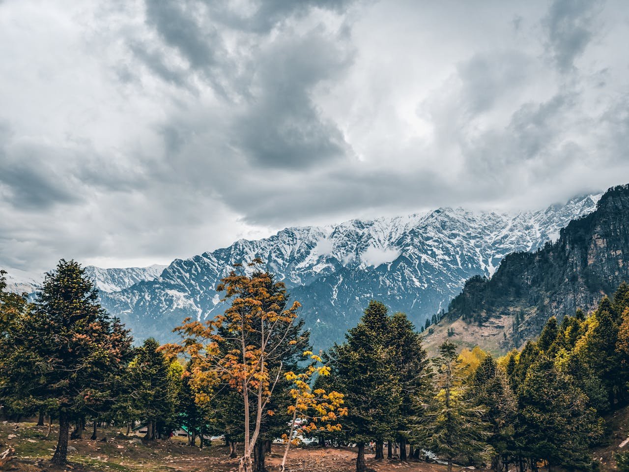 Breathtaking view of snow-capped mountains and lush trees in Kullu, Himachal Pradesh, India.