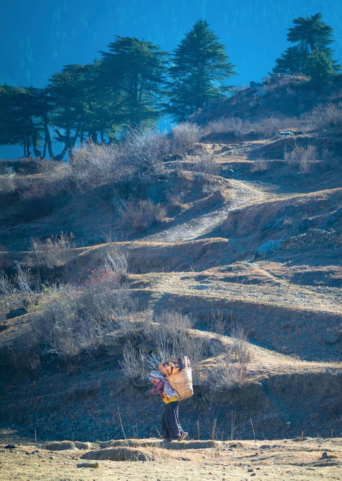 about-img A trekker navigates the rugged trails of Juphal, Nepal, in a scenic mountain landscape.