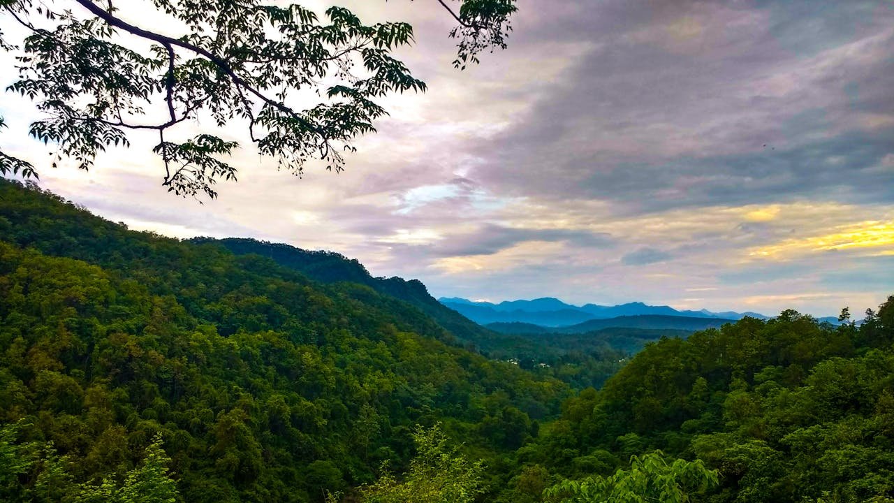 Stunning view of lush green mountains and forest under a vibrant sunset sky in Dehradun, India.